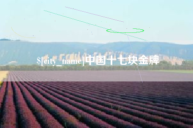 玉树中国十七块金牌