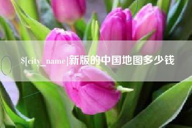 玉树新版的中国地图多少钱