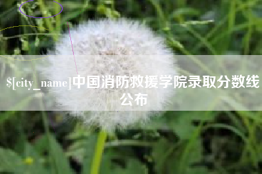 玉树中国消防救援学院录取分数线公布