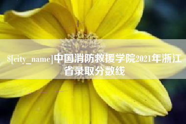 玉树中国消防救援学院2021年浙江省录取分数线