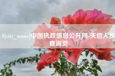 玉树中国执政信息公开网-失信人员查询页