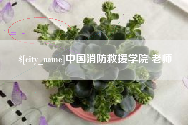 玉树中国消防救援学院 老师