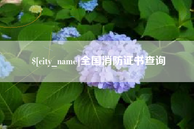 玉树全国消防证书查询