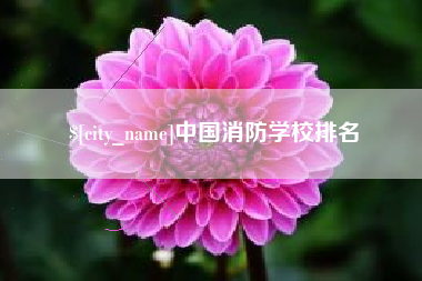 玉树中国消防学校排名
