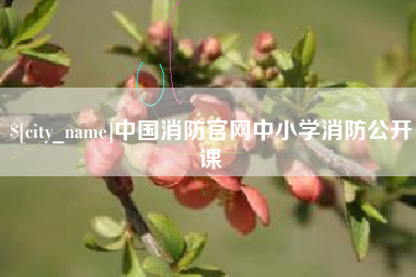 玉树中国消防官网中小学消防公开课