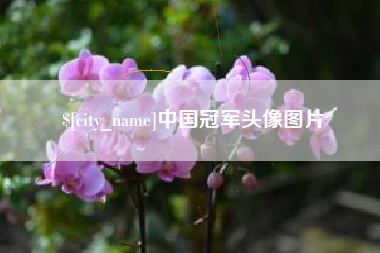 玉树中国冠军头像图片