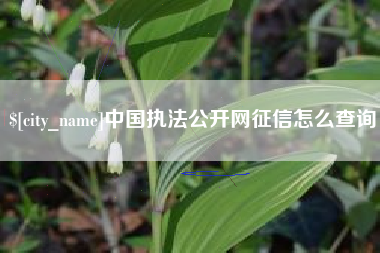 玉树中国执法公开网征信怎么查询