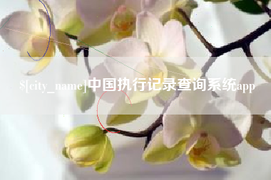 玉树中国执行记录查询系统app