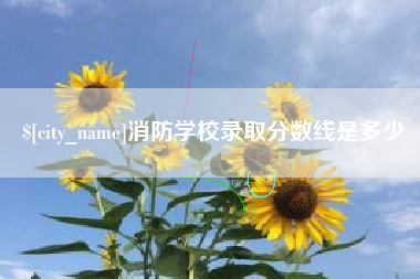 玉树消防学校录取分数线是多少