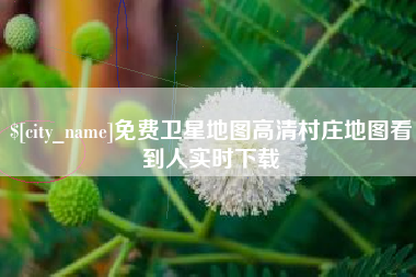 玉树免费卫星地图高清村庄地图看到人实时下载