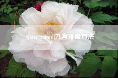 玉树九宫排盘方法