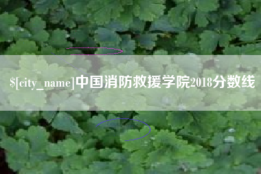 玉树中国消防救援学院2018分数线