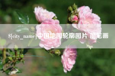 玉树中国地图轮廓图片 简笔画
