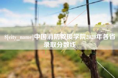 玉树中国消防救援学院2020年各省录取分数线