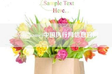 玉树中国执行网信息官网