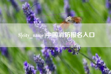 玉树中国消防报名入口