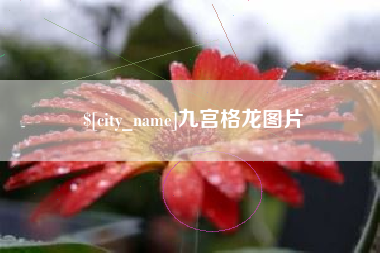 玉树九宫格龙图片