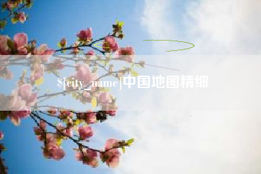 玉树中国地图精细