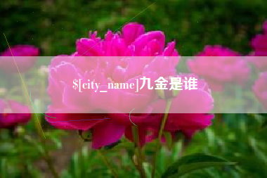 玉树九金是谁