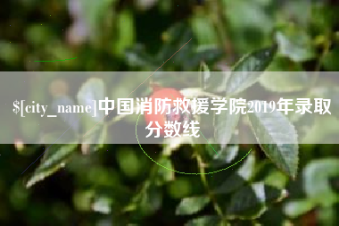 玉树中国消防救援学院2019年录取分数线