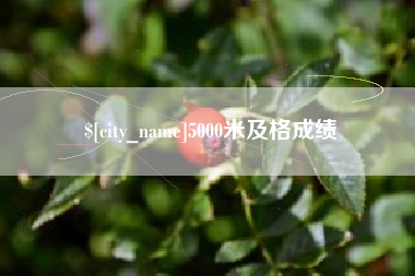玉树5000米及格成绩