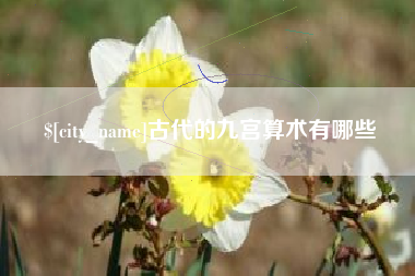 玉树古代的九宫算术有哪些