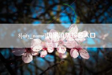 玉树国家消防报名入口