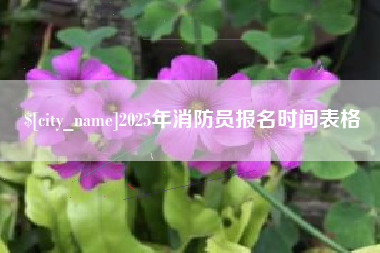 玉树2025年消防员报名时间表格