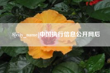 玉树中国执行信息公开网后