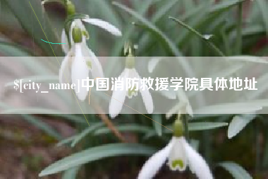 玉树中国消防救援学院具体地址