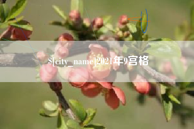 玉树2021年9宫格