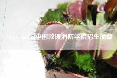 玉树中国救援消防学院招生简章