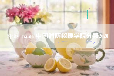玉树中国消防救援学院分数2020