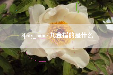 玉树九金指的是什么
