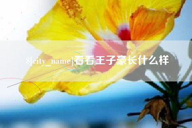 玉树看看王子豪长什么样