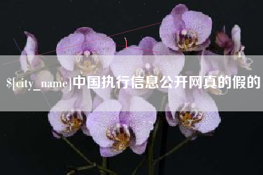 玉树中国执行信息公开网真的假的