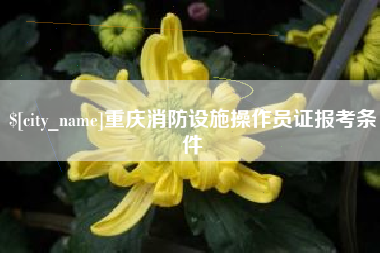 玉树重庆消防设施操作员证报考条件