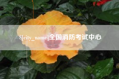 玉树全国消防考试中心