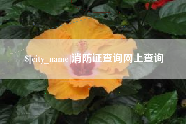 玉树消防证查询网上查询