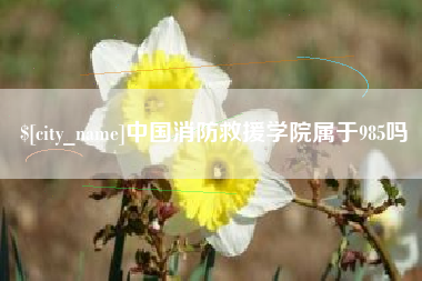 玉树中国消防救援学院属于985吗
