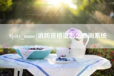 玉树消防资格证怎么查询系统