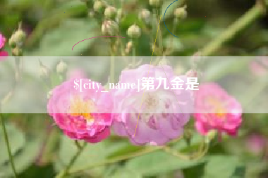 玉树第九金是