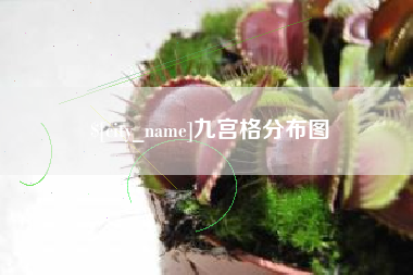 玉树九宫格分布图