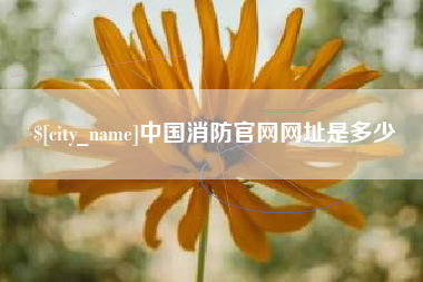 玉树中国消防官网网址是多少