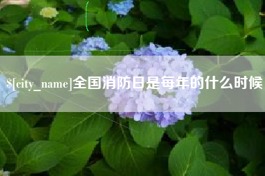 玉树全国消防日是每年的什么时候