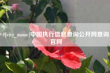 玉树中国执行信息查询公开网查询官网
