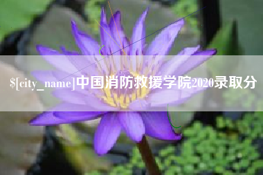 玉树中国消防救援学院2020录取分