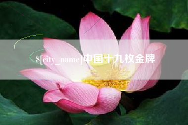 玉树中国十九枚金牌