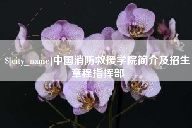 玉树中国消防救援学院简介及招生章程指挥部
