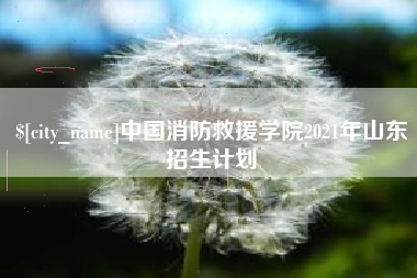 玉树中国消防救援学院2021年山东招生计划
